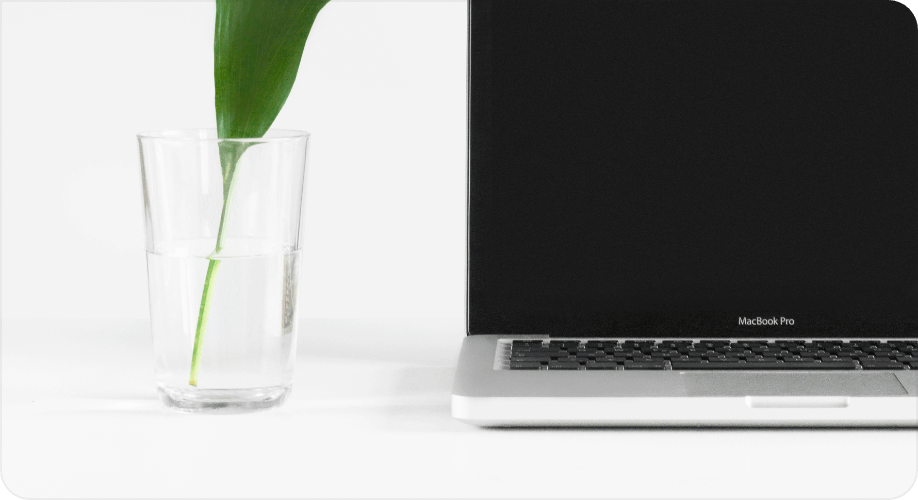 ノートパソコンと観葉植物